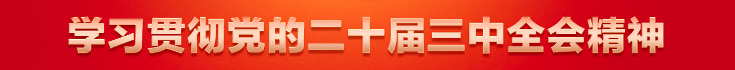 學習貫徹黨的二十屆三中全會精神